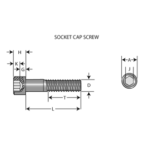 Socket Cap Screw